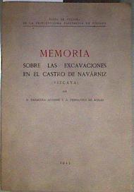 Memoria sobre las excavaciones en el Castro de Navárniz (Vizcaya) | 186410 | A Fernandez Aviles, B Taracena aguirre