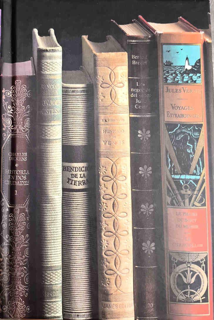 Mientras embalo mi biblioteca : una elegía y diez digresiones | 187542 | Manguel Finkelstein, Alberto