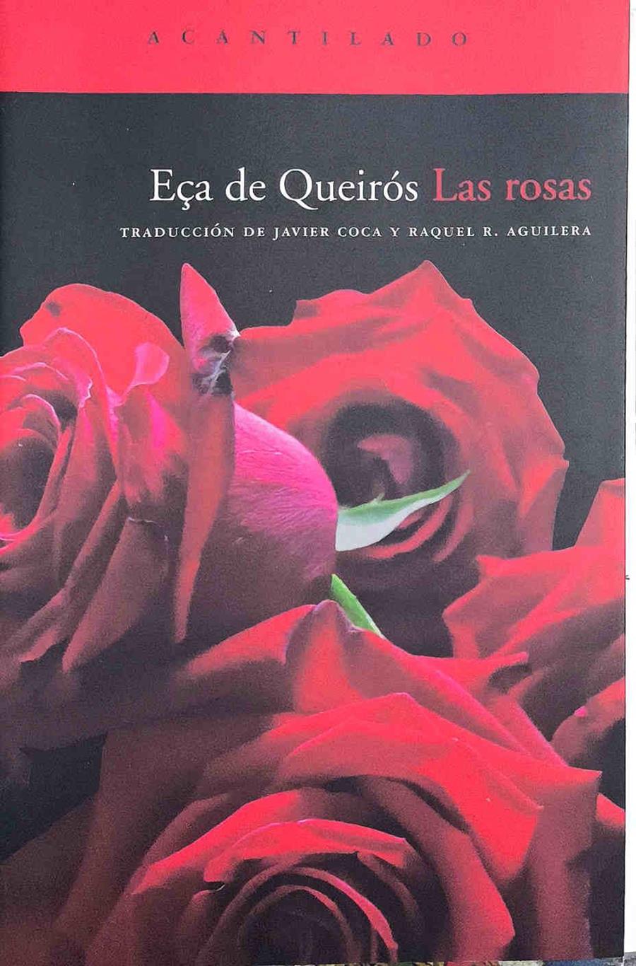 Las rosas | 187545 | Queirós, Eça de (1845-1900)