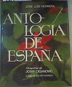 Antología de España | 164743 | Herrera, José Luis