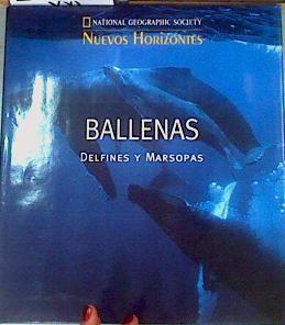 Ballenas delfines y marsopas | 165219 | Darling, James D./Whitehead, Hal/Würsig, Bernd