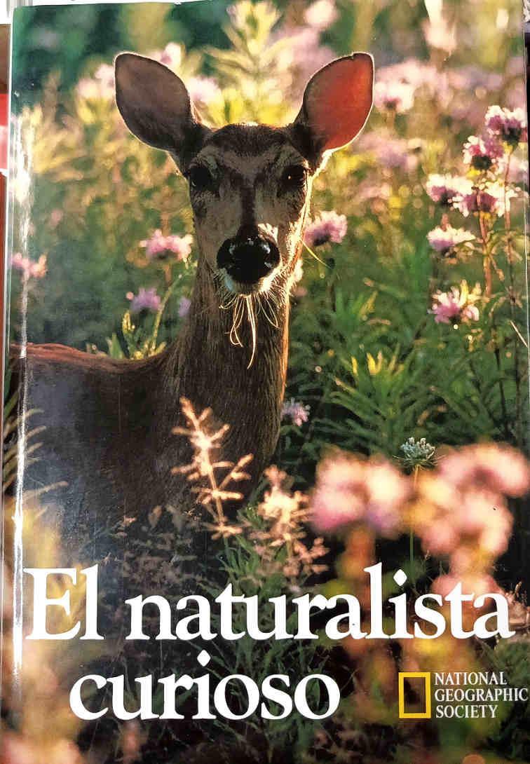 El naturalista curioso | 187691 | National Geographic Society