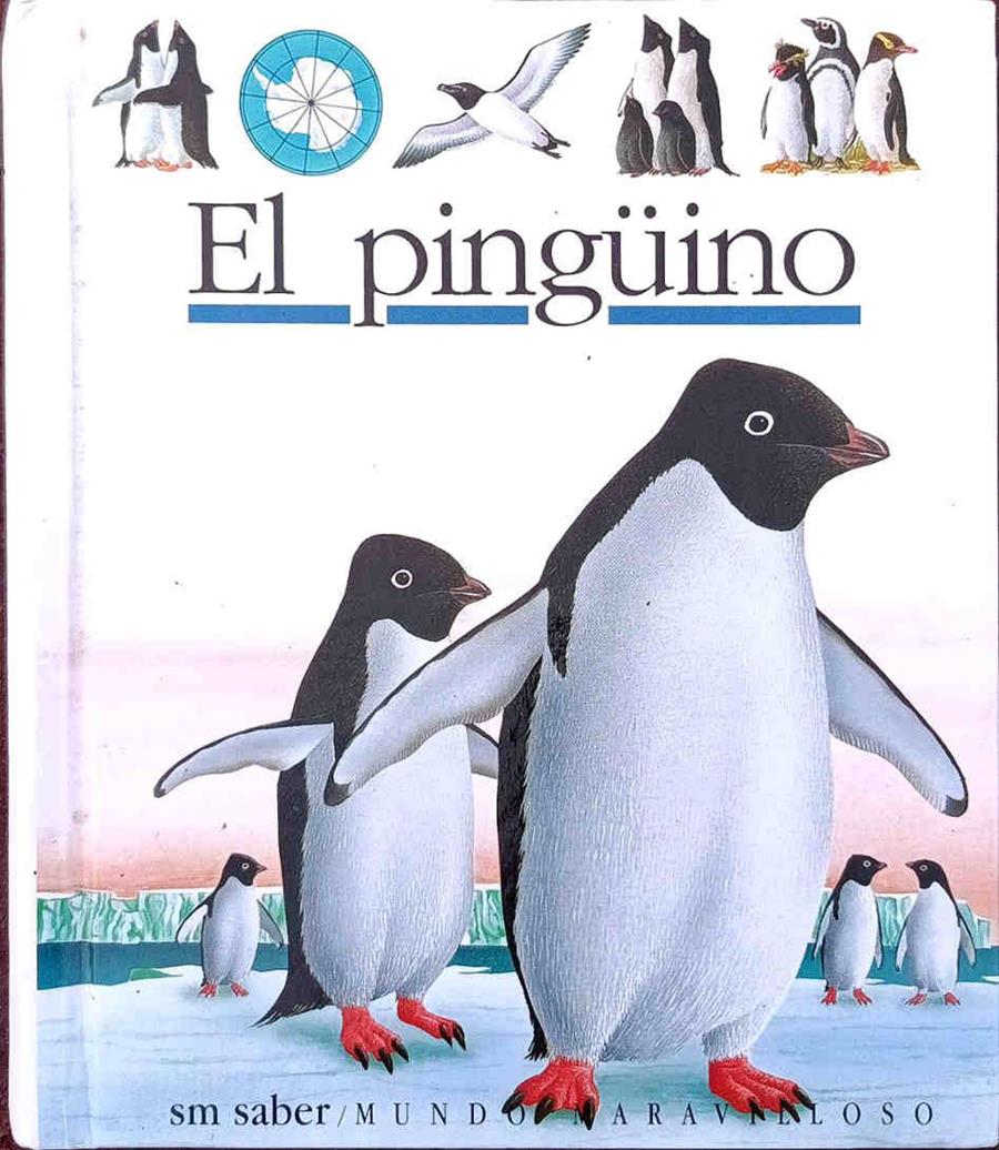 El pingüino | 187905 | Ilustrador René Mettler/Realizado por Gallimard Jeunesse- René Mettler/Traductor:Paz Barroso