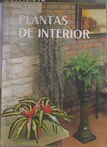 Plantas de interior | 176868 | Roberto Guillén Andreu