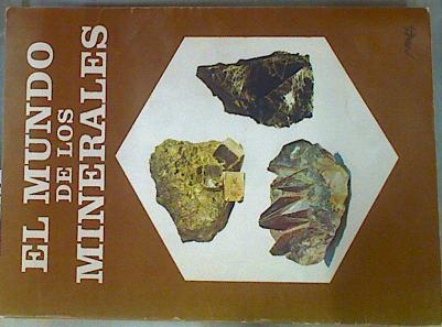 El Mundo de los minerales | 157478 | Santamarta Cuenca, Pedro