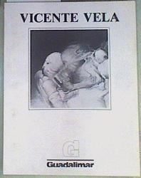 Vicente Vela El genesis de una pintura | 158513 | VVAA