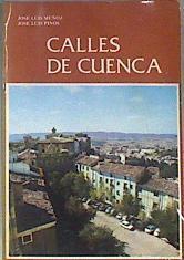 Calles de Cuenca | 173065 | Muñoz Ramirez, José Luis