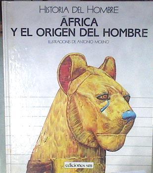 Africa y el origen del hombre | 101824 | Silvia Ripoll ( Traducción)/Antonio Molino ( Ilustraciones)
