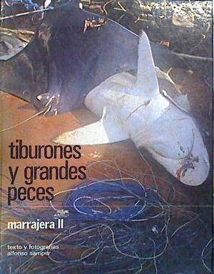 Tiburones y grandes peces. Marrajera II | 140119 | Alfonso Samper