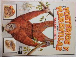 Misterios Y Maravillas De Los Mamíferos | 63856 | Karen Goaman/Heather Amery