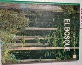 El Bosque | 65503 | Farb Peter