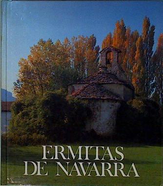 Ermitas de Navarra | 146577 | Pérez Ollo, Fernando