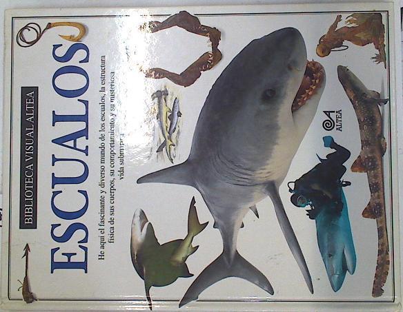Escualos (Tiburones) | 129522 | Miranda MacQuitty
