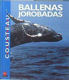 Ballenas jorobadas | 141442 | Fundación Cousteau