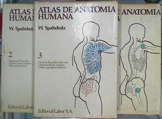 Atlas De Anatomía Humana 3 Tomos | 41295 | Spalteholz W/E. Pons Totrella/Revisada por Jaime Vilahur Pedrals