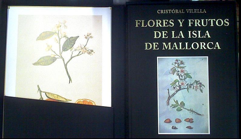 Flores y frutos de la isla de Mallorca | 140334 | Vilella, Cristóbal/González García de Ángela, Javier com.