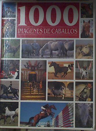 1000  mil imagenes de caballos | 122543 | Bertrand Leclair