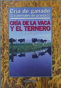 Cría de ganado y animales de granja Cria de la vaca y el ternero | 145912 | Vittorio Cappa