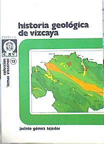 Historia geológica de Vizcaya | 142109 | Gómez Tejedor, Jacinto