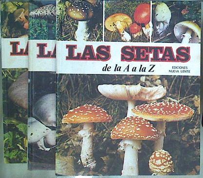 Las Setas De La A a La Z 3 Tomos | 62906 | Miguel J. Goñi