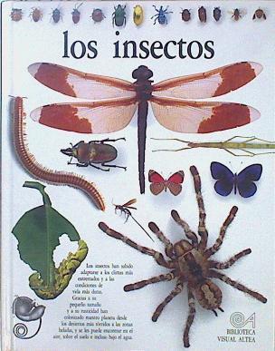 Los insectos | 147552 | Mound, Laurence