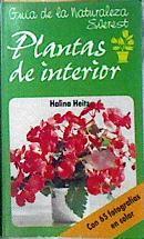 Plantas de interior | 142731 | Hietz, Halina