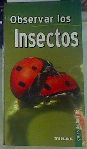 Observar los insectos | 155479 | Jean Jacques Bignon