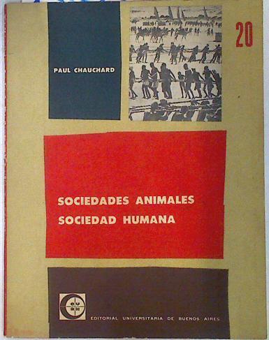 Sociedades Animales, Sociedad Humana | 133623 | Chauchard, Paul