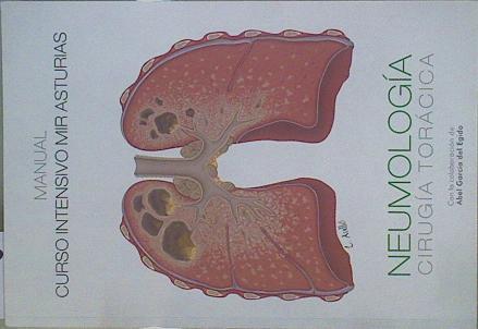 Manual Neumología Cirugia torácica Curso intensivo MIR Asturias (edición 2019 ) | 148800 | Curso intensivo MIR Asturias/Con la colaboración de, Abel Garcia Egido