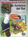 Vida intima de los animales de América del Sur | 77259 | D' Ami, Rinaldo