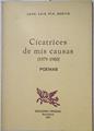 Cicatrices de mis causas | 125826 | Pla Benito, Juan Luis
