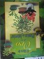El libro de oro de las plantas de interior | 172823 | Alonso de la Paz, Francisco Javier/López Pérez, Isabel/Souza-Egipsy Sánchez, Virginia