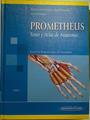 Prometheus. Texto y atlas de anatomía 1: anatomía general y aparato locomotor | 128638 | Schulte, Erik/Schünke, Michael/Schumacher, Udo