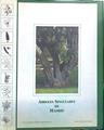 Arboles singulares de Madrid | 140461 | Ríos Insúa, María Valeria