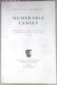 Numerable ceniza | 171788 | Carmona Fernández, Néstor