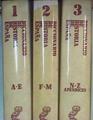 Diccionario de historia de España 1, 2, y 3 | 99201 | Bleiberg, Germán