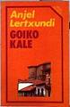Goiko kale | 89193 | Lertxundi, Anjel