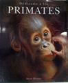 Dedicado a los Primates | 132655 | Varios