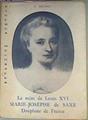 La mère de Louis XVI Marie-Josèphe de Saxe Dauphine de France | 161051 | Y Brunel