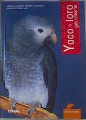 Yaco o loro africano | 168467 | Wright, Maggie