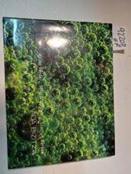 Vida  : anillo verde, Vitoria-Gasteiz = Bizitza : eraztun berdea, Vitoria-Gasteiz | 92208 | Sáenz de Buruaga, Mario