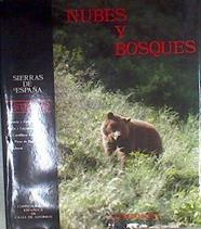 Nubes y bosques Asturias FOLKLORE. MITOS Y LEYENDAS. PICOS DE EUROPA. ALFREDO NOVAL | 177181 | Noval Junquera, Alfredo