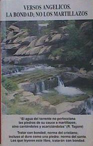 Versos angélicos y la bondad, no los martillazos | 153903 | Martínez Díaz José Julio