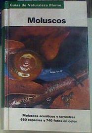 Moluscos acuaticos y terrestres | 155623 | Fechter, Rosina
