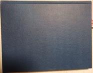 Treasures Of The Medici | 54821 | Filippo Tuena, Massinelli Anna Maria