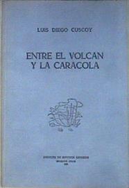 Entre el volcán y la caracola Lecturas Canarias ( 1ªEDICION ) | 181335 | Cuscoy, Luis Diego