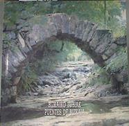 Puentes de Bizkaia Bizkaio zubiak | 169408 | Teresa casanova Coordinación