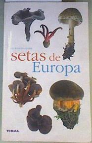 Setas de España y de Europa | 167749 | Losange