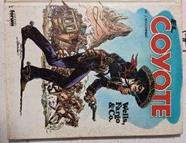 El Coyote Wells Fargo & Co. | 63321 | Mallorqui J