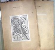 Relación histórica del viage a los Reynos del Peru y Chile Tomo I y II | 181021 | RUIZ, Hipólito